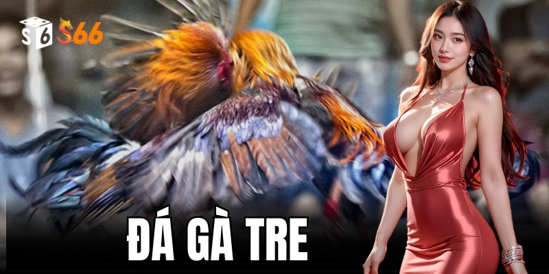 Mẹo để cá cược đá gà tre đạt hiệu quả cao nhất