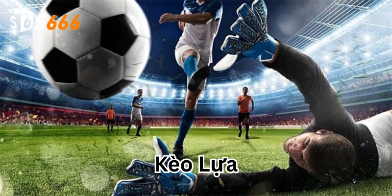 Cách xác nhận Kèo Lựa ngon ăn